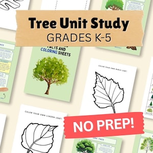 Estudio de la unidad sobre especies de árboles: Datos y hojas para colorear (Descarga digital)