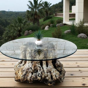 May include: A distinctive outdoor coffee table featuring a clear glass top. The base is a large, textured, light-coloured tree trunk. A small white geometric planter with a green plant sits on the table. The table is on a wooden deck.