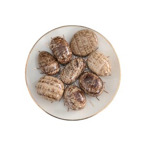 Kamień bębnowany z kryształu aragonitu – zwiastun prawdy i zrozumienia – czakra podstawy – kamień do medytacji – kryształy z etycznych źródeł