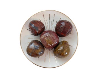 Petrified Wood Tumblestone - Taurus & Root Chakra Crystal