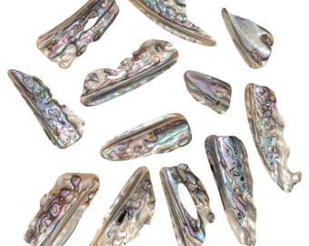 Abalone Shell Pieces - Emotional & Spiritual Protection