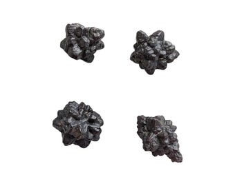 4pc Prophecy Stone Collection - The Geological Evolution Set - Limonite after Marcasite - Educational/Collectors Set