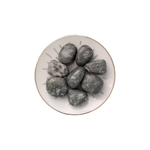 Crinoid-fossiele trommelsteen: aardend en kalmerend kristal
