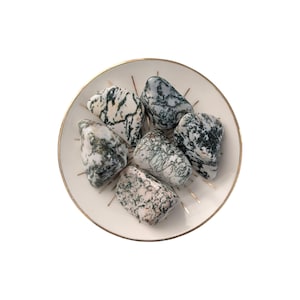 Tree Agate Tumblestone - IInner Peace & Life Balance Crystal