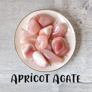Piedras pulidas de ágata albaricoque