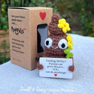 Crochet Poo Plushie with Flower: Funny Desk Decor, Cheer Up Gift