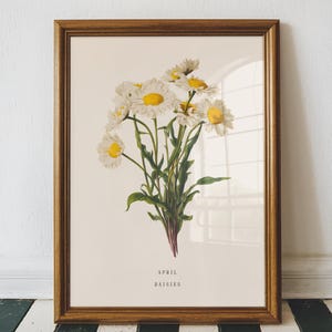 April Daisy Birth Flower Print – Vintage Botanical Wall Art, April Birthday Gift for Her, Daisy Flower Print