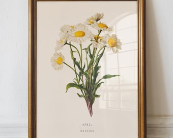 April Daisy Birth Flower Wall Art Print: Vintage Botanical Poster, Spring Decor