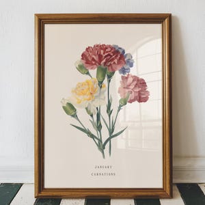 January Carnation Birth Flower Wall Art Print: Vintage Botanical Poster