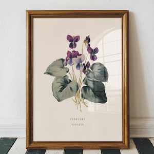 February Violet Birth Flower Print – Vintage Botanical Wall Art, February Birthday Gift for Her, Violet Flower Print