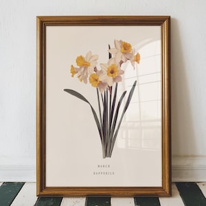 March Daffodil Birth Flower Print – Vintage Botanical Wall Art, March Birthday Gift for Her, Daffodil Flower Print