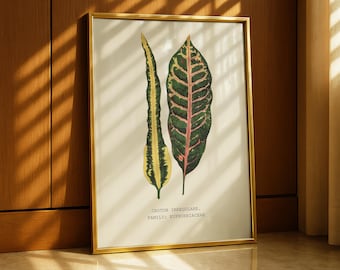 Impresión botánica de Croton Irregulare, arte de pared vintage, impresión de hojas, regalo para amantes de las plantas, decoración de pared para sala de estar