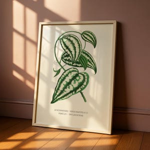 Smilax Botanical Leaf Print – Vintage Botanical Wall Art, Flower and Plant Lover Gift, Plant Artwork for Home Decor