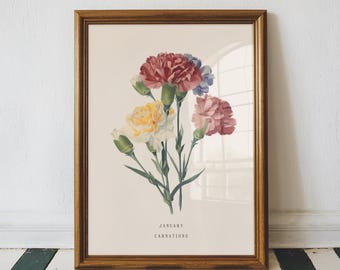 January Carnation Birth Flower Wall Art Print: Vintage Botanical Poster