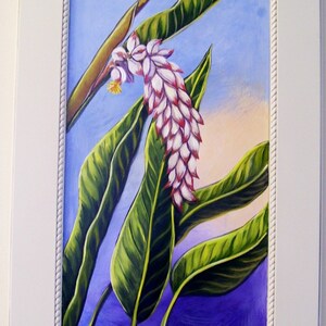 Pode incluir: Uma pintura de uma flor de gengibre branca e rosa com folhas verdes sobre um fundo azul e roxo.