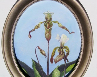 Lady Slipper Orchid on Oval Canvas with Frame Hand Painted Original Art Floral Still Life