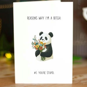 Rude Panda-wenskaart voor haar, voor hem, je bent dom, aanstootgevende handgemaakte kaart, ongepast, verjaardagskaart beste vriend, gewoon omdat