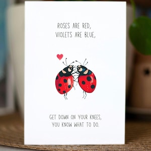 Biglietto d'auguri per anniversario malizioso per la moglie, biglietto d'amore malizioso per fidanzata e fidanzato, biglietto fatto a mano per San Valentino, biglietto d'amore inappropriato, maleducato e divertente