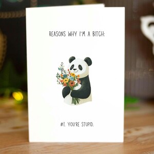 Biglietto d'auguri "Panda maleducato" per lei, per lui, "Sei stupido", biglietto fatto a mano offensivo, inappropriato, biglietto di auguri per il miglior amico, "Semplicemente così"