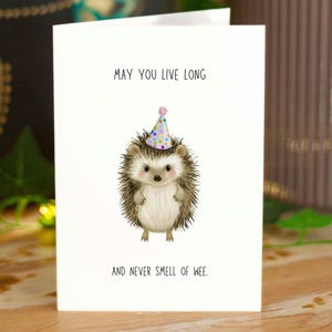 Carte d'anniversaire drôle de hérisson, carte de voeux pleine d'esprit et sarcastique, carte faite main grossière, carte d'animal mignon, carte inappropriée, carte d'anniversaire grossière