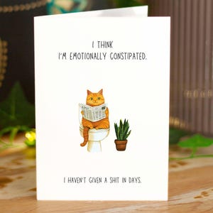 Carte Don't Give a shit, Funny cat on toilettes, carte de voeux grossière faite main, carte inappropriée, carte sarcastique pour lui, pour elle, caca