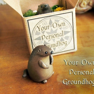 Groundhog Figurine - Your Own Personal Groundhog Day - Imbolc Weather Divination - Miniature Polymer Clay Figurine and Box Burrow