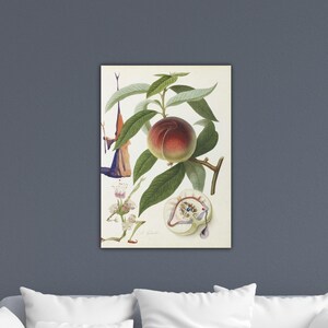 Salvador Dali Pêcher Pénitent 1969 Poster Dali Canvas Salvador Dali Wall Art Salvador Dali Print Art Gift Of Home Wall Decor Dali Painting
