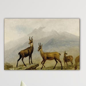 Albert Bierstadt Chamois Poster Office Decor Bierstadt Canvas Bierstadt Paint Bierstadt Wall Art Home Decor Gift Museum Art Bierstadt Print
