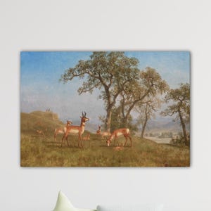 Albert Bierstadt Grazing Antelope Poster Bierstadt Canvas Albert Bierstadt Paint Bierstadt Wall Art Gift Home Wall Decor Art Bierstadt Print