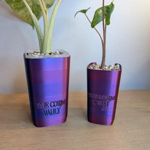May include: Two square planters with a metallic purple and blue gradient finish. Each planter features the embossed text THE CORM VAULT on the front. The planters contain small green plants with light-coloured soil and pebbles on top.