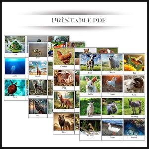 Realistic Animal Flashcards for Toddlers & Preschool | Montessori Inspired Learning | Digital Download