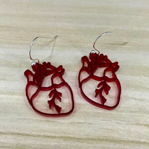 Anatomical Heart Earrings