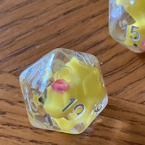 B Grade Lucky Duck20 Die D20 One D20