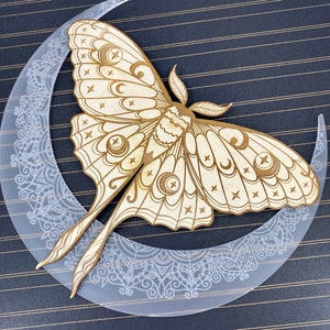 Luna Moth Wall Decor, Wall Hanging, Witchy Decor