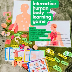 Juego interactivo de aprendizaje del cuerpo humano: juguete educativo bilingüe con órganos 3D, tarjetas didácticas, bingo y más.