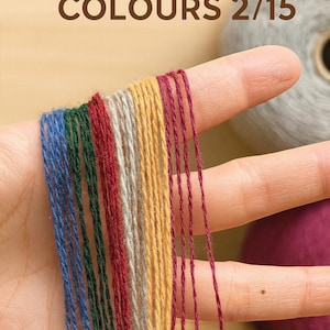 May include: Close-up of colorful yarn threads held between fingers. The threads are in shades of blue, green, red, gray, yellow, and burgundy. The text "MILLEFILI S.P.A COLOURS 2/15" is displayed at the top of the image.