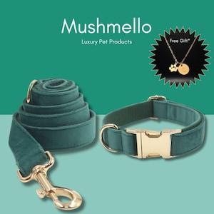 Velvet Collar and Leash Set with Free custom Engraved pendant with paw necklace - Emerald Green
