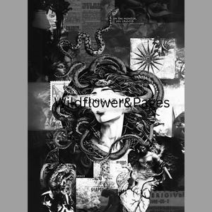 May include: Black and white collage featuring a woman with snakes for hair, reminiscent of Medusa. The image includes text that reads "Wildflower & Pages" and other fragmented text, creating a gothic and artistic aesthetic.