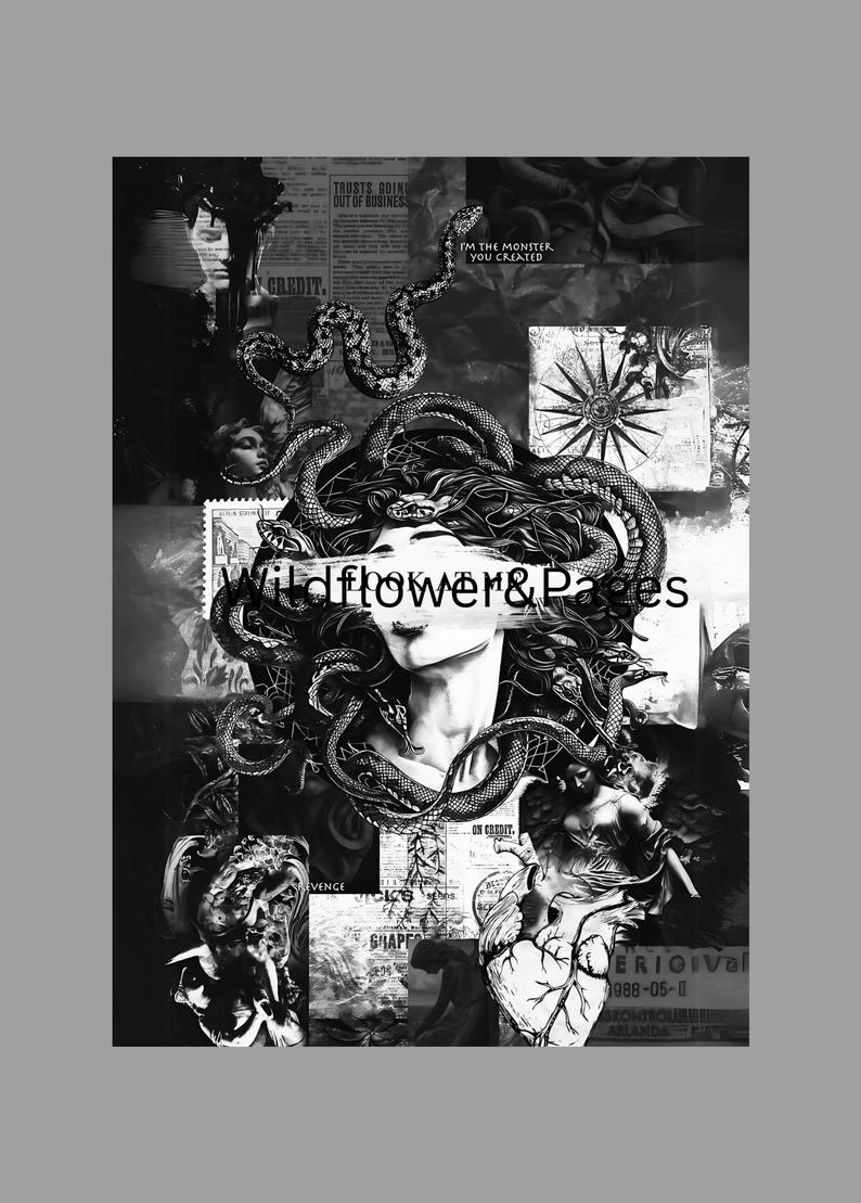 May include: Black and white collage featuring a woman with snakes for hair, reminiscent of Medusa. The image includes text that reads "Wildflower & Pages" and other fragmented text, creating a gothic and artistic aesthetic.
