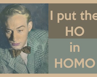 I put the HO in HOMO. Adult Humor Greeting Card (gay 27 )