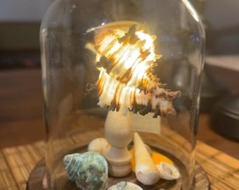 Handgemaakte schelpenlichtkoepel: kustnachtlampje