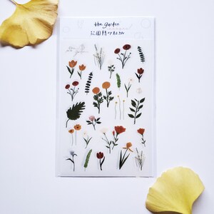Sana Lee Floral Transfer Aufkleber / 2 Pack