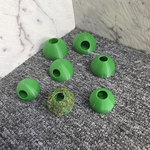 Jumping Spider Wall Hide | Magnetic Hide | Two Entrance Styles | Mossy Hide