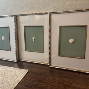Coastal shell and coral art work handmade