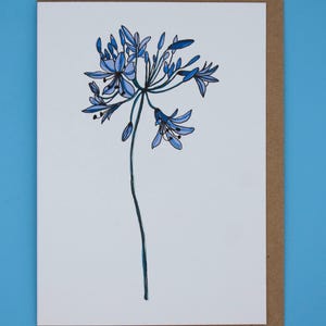 Agapanthus-wenskaart | geïllustreerd en met de hand afgewerkt | luxe Tintoretto Gesso-kaart van 300 gsm | A6 | Kraft envelop | bloemdessin