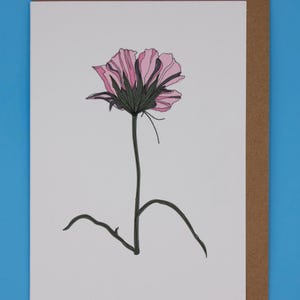 Biglietto d'auguri Cosmos Flower / Illustrato e rifinito a mano / Carta Tintoretto Gesso di lusso da 300 g/m² / A6 / Busta Kraft / Motivo floreale