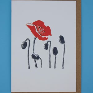 Mohnblumen Grußkarte | illustriert und von Hand vollendet | Luxus Tintoretto Gesso Karte 300gsm | DIN A6 | Kraftpapier Umschlag | Blumenmuster