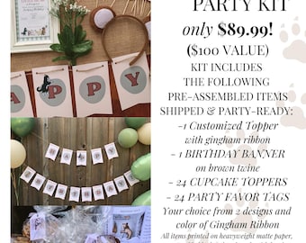 Little Bear Party Supply Kit | Bear Birthday Decorations