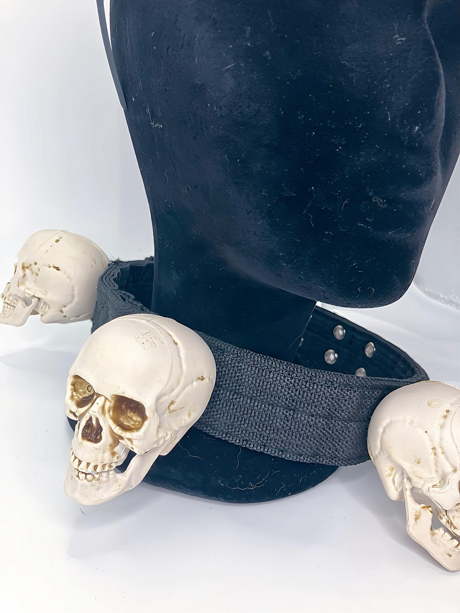 Gothic Skull Fascinator & Matching Dog Collar Halloween 