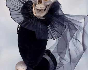 Gothic Skull Fascinator & Matching Dog Collar Halloween  display picture 2